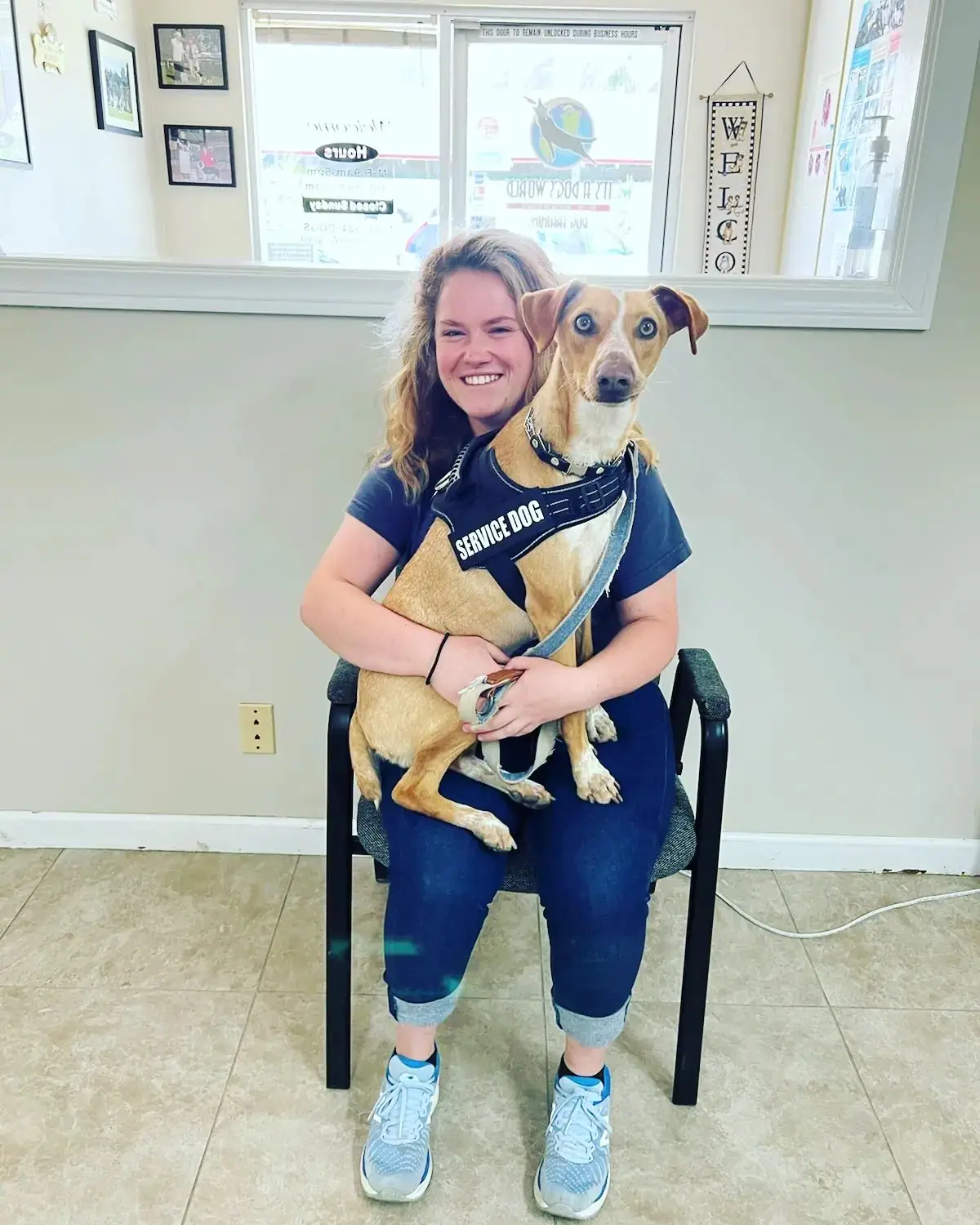 Dog training gallery image 38