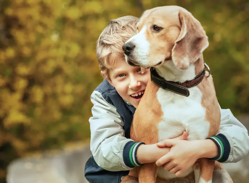 Dog training gallery image 16