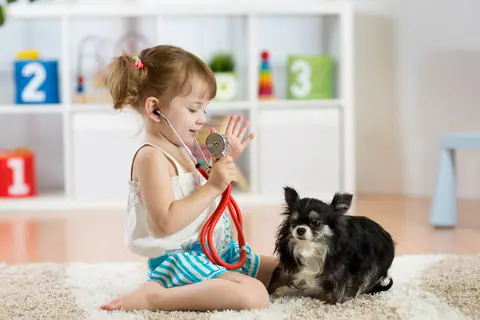 Dog training gallery image 26