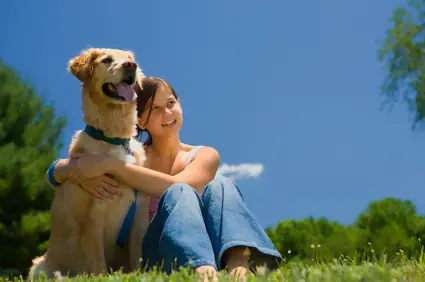 Recently trained dog 3