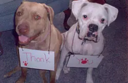 Happy client and trained dog